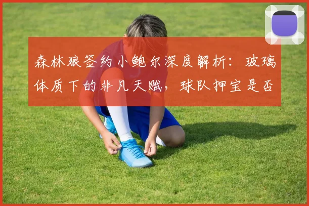 森林狼签约小鲍尔深度解析：玻璃体质下的非凡天赋，球队押宝是否明智？