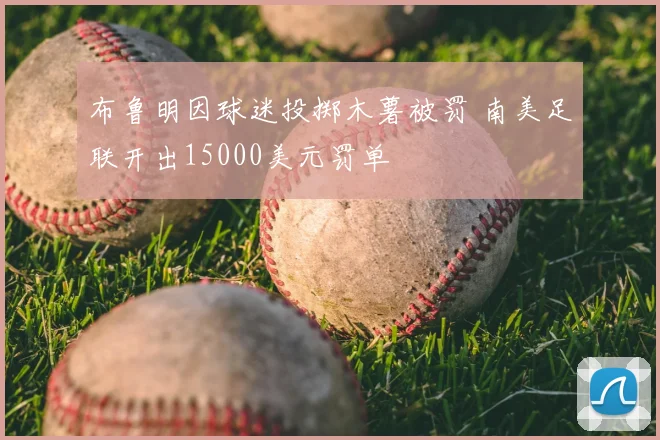 布鲁明因球迷投掷木薯被罚 南美足联开出15000美元罚单