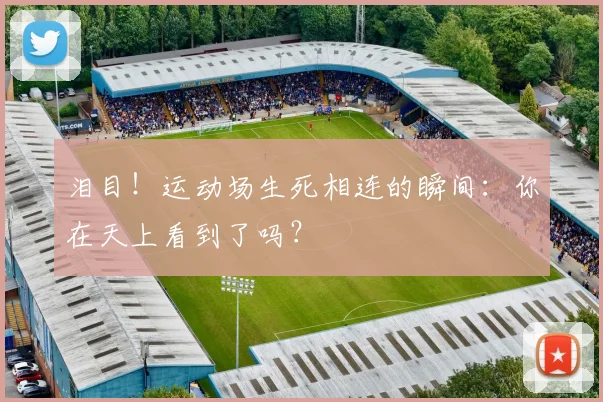 泪目！运动场生死相连的瞬间：你在天上看到了吗？