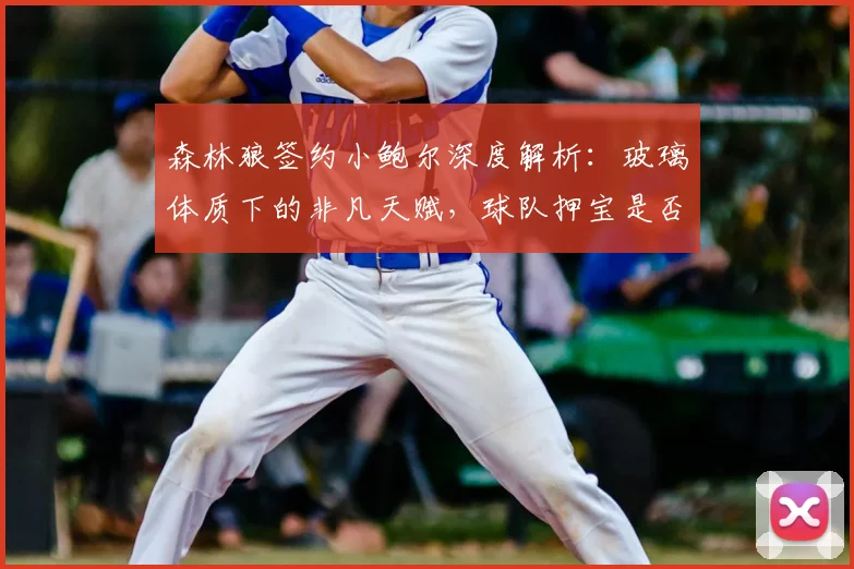森林狼签约小鲍尔深度解析：玻璃体质下的非凡天赋，球队押宝是否明智？