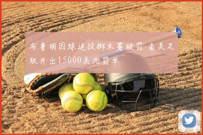 布鲁明因球迷投掷木薯被罚 南美足联开出15000美元罚单